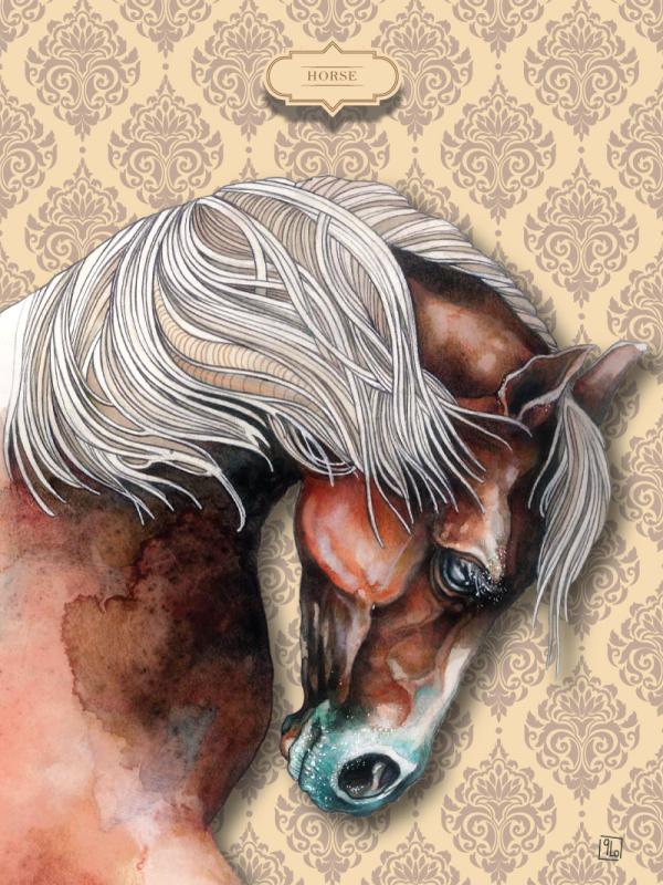 001. Cavallo