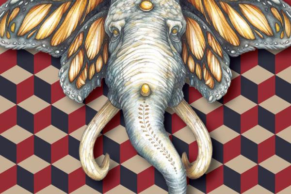 002. Elefante