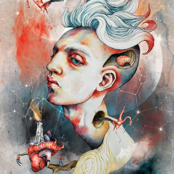 King of wands